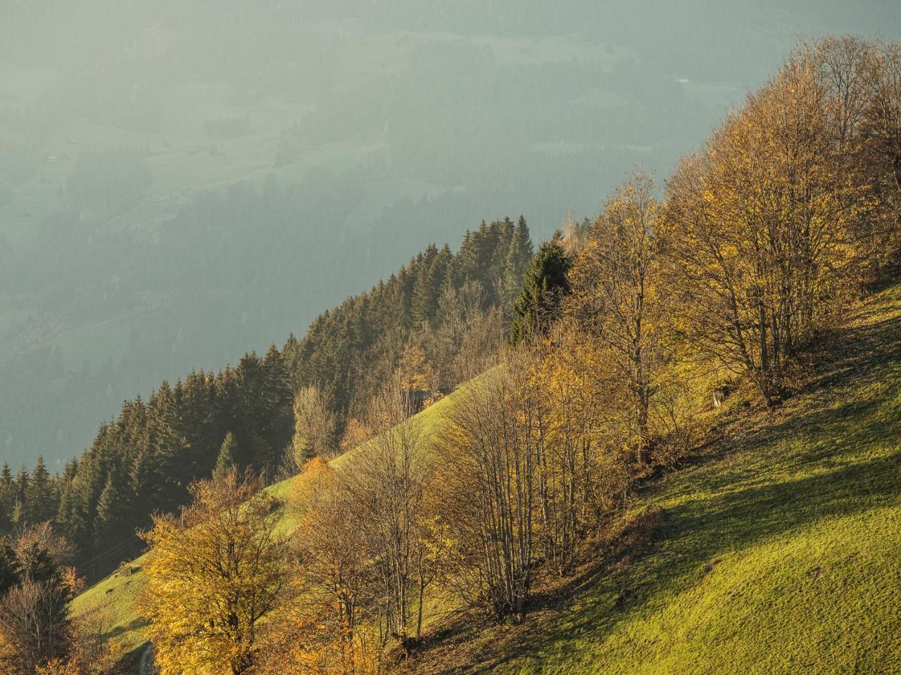 Hanserhof Zell am Ziller Kültér fotó